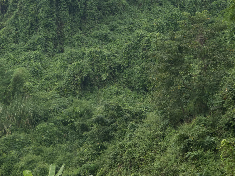 Riding Through the Mist – A 2.5 Month Bikepacking Journey Across Southeast Asia with Adrian and Sandro - Bild 15